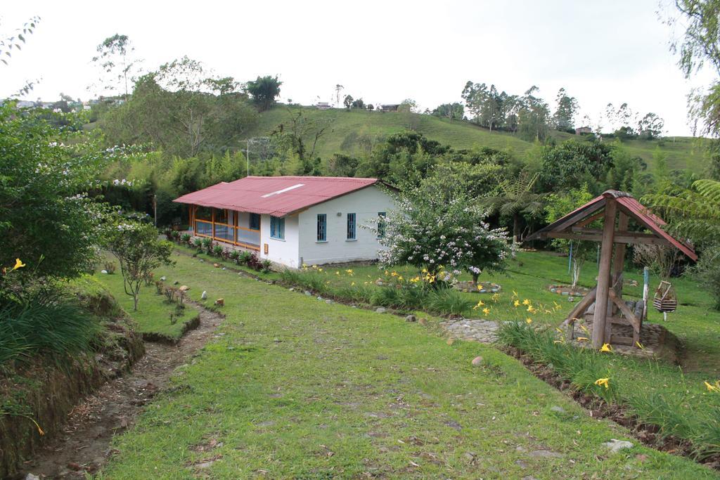 La Gaviota Bnb Bed & Breakfast Filandia Room photo